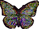 Dichroic Butterfly by StarFields