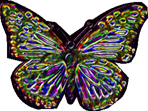 Dichroic Butterfly - Ritual Design by Silvia Hartmann, 2005