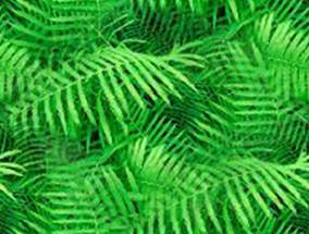 Bright Green Fern Fern Seamless Background Tile Image Picture