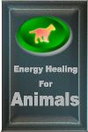 Energy Healing For Animals - Professionally certified correspondence course to become an animal healer