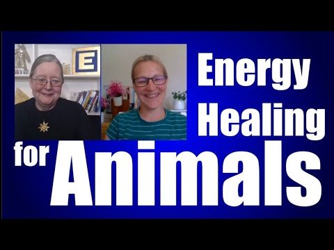 Energy Healing For Animals with Zoe Hobden 2