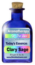 Let the Universe choose an essential oil for you today!
